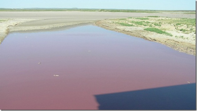 mar-de-sangue-eua